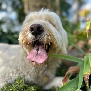 Meet your Posher, Liz